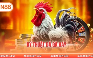 kỹ thuật đá gà hay